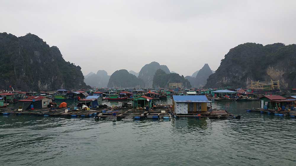 fishing village lang chai ha long bay cat ba vietman viajar solo