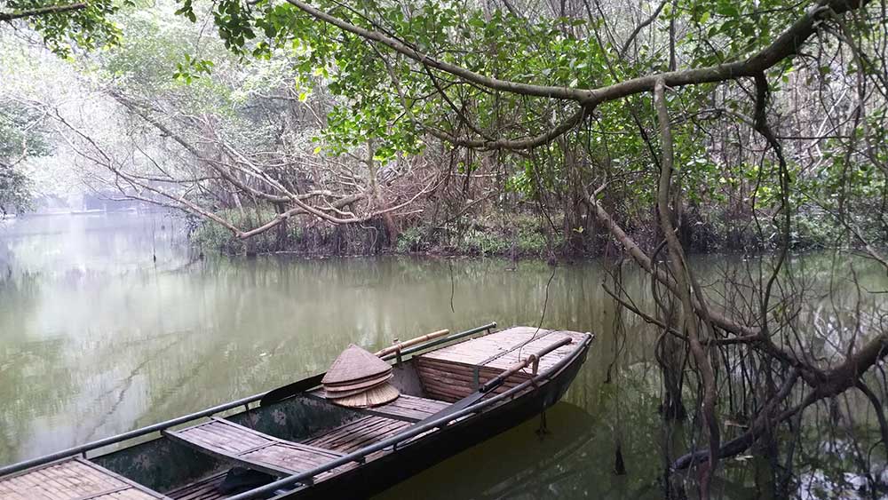 arrozales parque nacional phong nha ke bang dong hoi vietnam