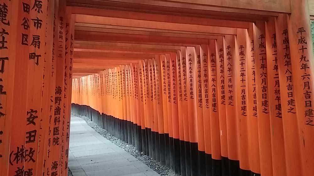 japon kioto kyoto viajar solo fushimi inari-taisha