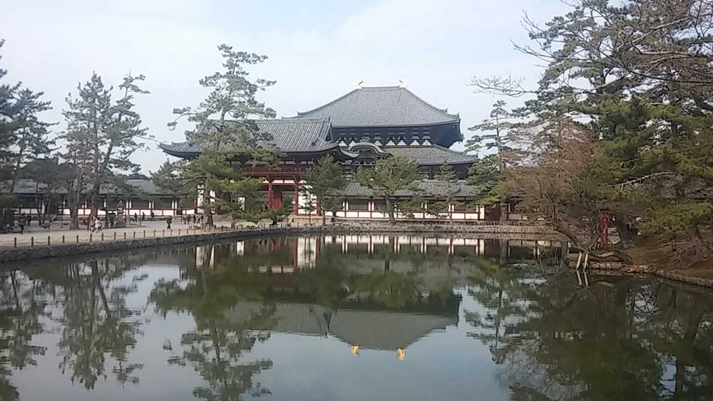 japon nara viajar solo ciervos templo parque lago buda