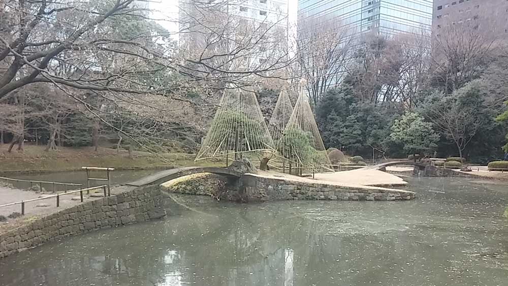 japon tokio tokyo viajar solo parque koishikawa korakuen
