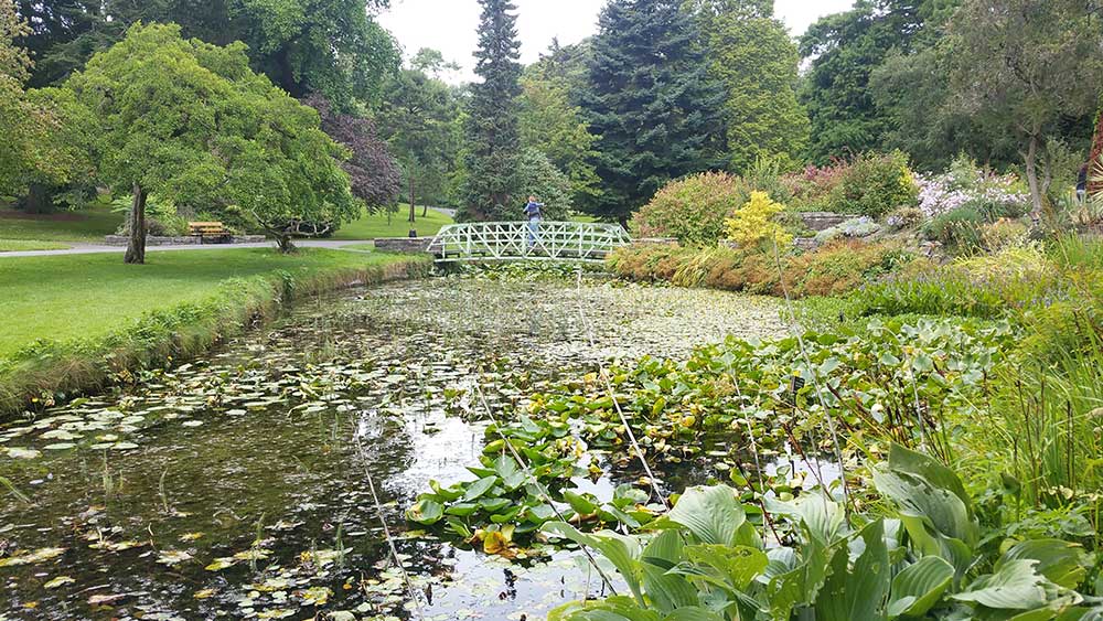 jardin botánico nacional de irlanda dublin viajar solo