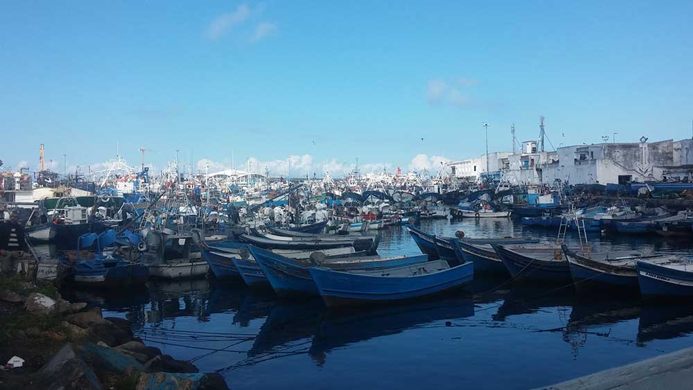puerto tanger barcos pescado marruecos viajar solo