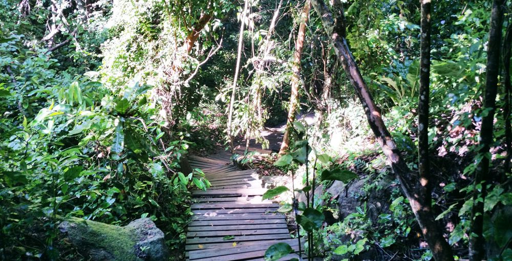 sederismo parque nacional tayrona caribe viajar solo